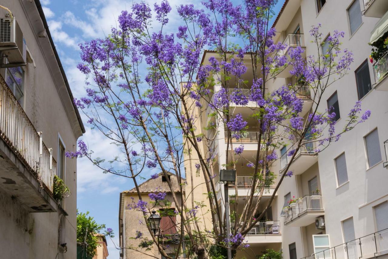 Sorrentovibes - Luxury Four Bedroom Home With Amazing Terraces In Península Sorrentina Exterior foto